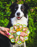 SodaPup Mandala eTray slow feeder that turns a quick meal into a longer licking session