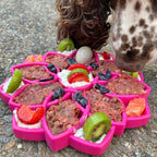 SodaPup Mandala eTray for puppies and senior dogs that need an easy-to-reach food tray