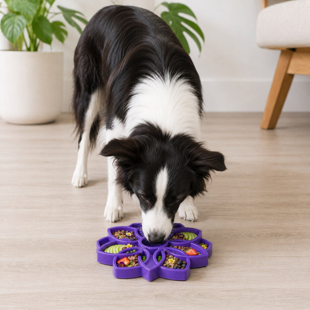 Purple Mandala eTray by SodaPup with grooves that hold wet food, raw food or kibble
