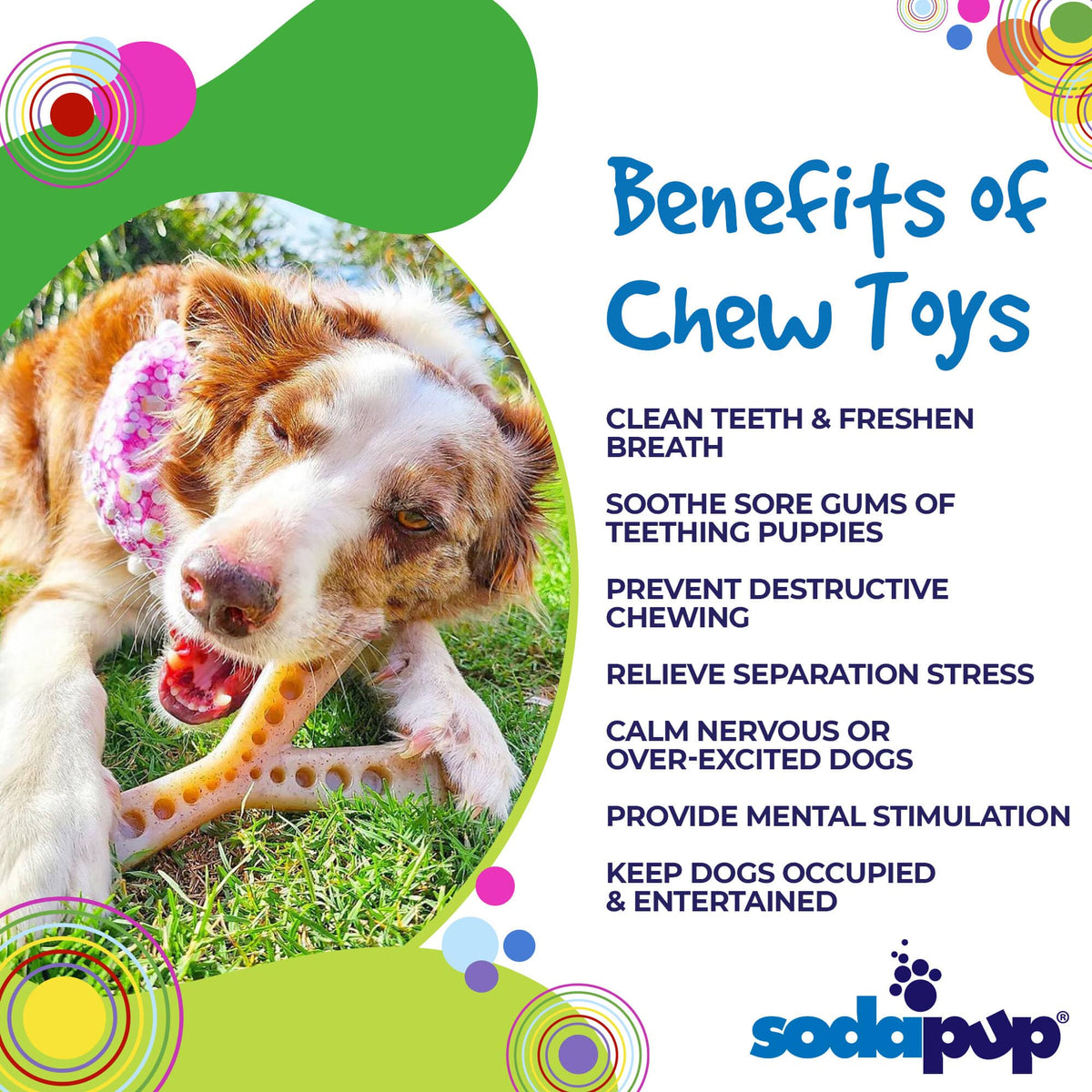 Benefits graphic for the brown SodaPup MOD Wishbone, a fillable nylon chew toy