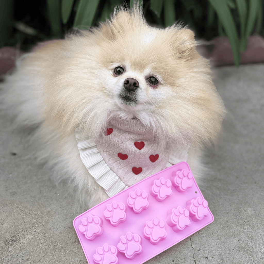 SodaPup silicone mold for making soft, homemade treats for puppies and older dogs