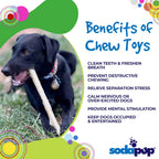 Benefits graphic for the SodaPup Nylon Chew Stick, a hard nylon chew toy for strong chewers