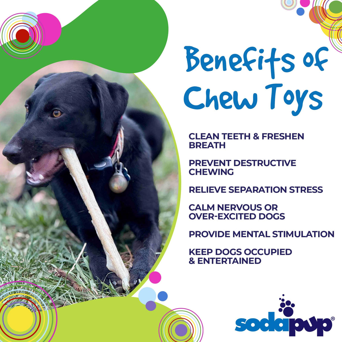 Benefits graphic for the SodaPup Nylon Chew Stick, a hard nylon chew toy for strong chewers