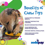 Benefits graphic for the SodaPup Nylon Corn on the Cob, a textured chew for power chewers