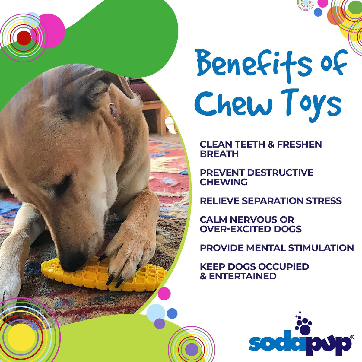 Benefits graphic for the SodaPup Nylon Corn on the Cob, a textured chew for power chewers