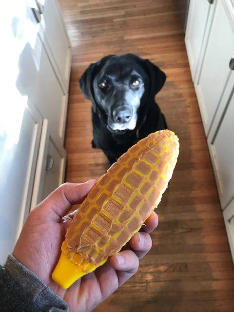 SodaPup Corn on the Cob nylon chew in yellow, made in the USA from FDA-compliant nylon