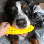 Yellow nylon corn on the cob dog toy from SodaPup, a solid chew that is not flavored