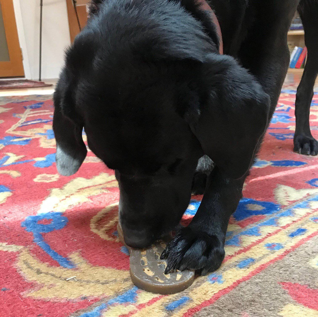 Brown SodaPup Peanut chew made from FDA-compliant, BPA- and phthalate-free nylon