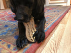 SodaPup brown peanut-shaped nylon chew toy for aggressive and super chewers