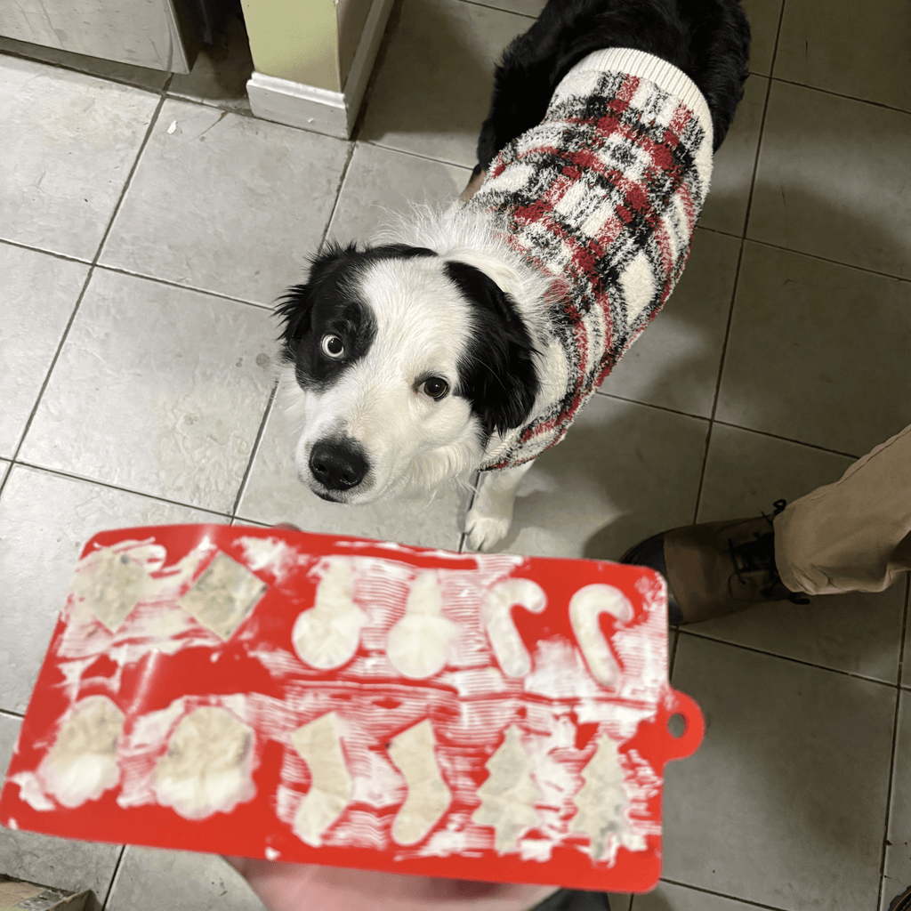 SodaPup silicone pet treat mold sold by Farm to Pet, not a chew toy, for supervised use