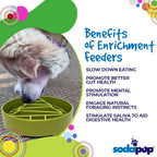 Benefits graphic for the SodaPup Pine Tree eBowl, a slow feeder for fast-eating dogs
