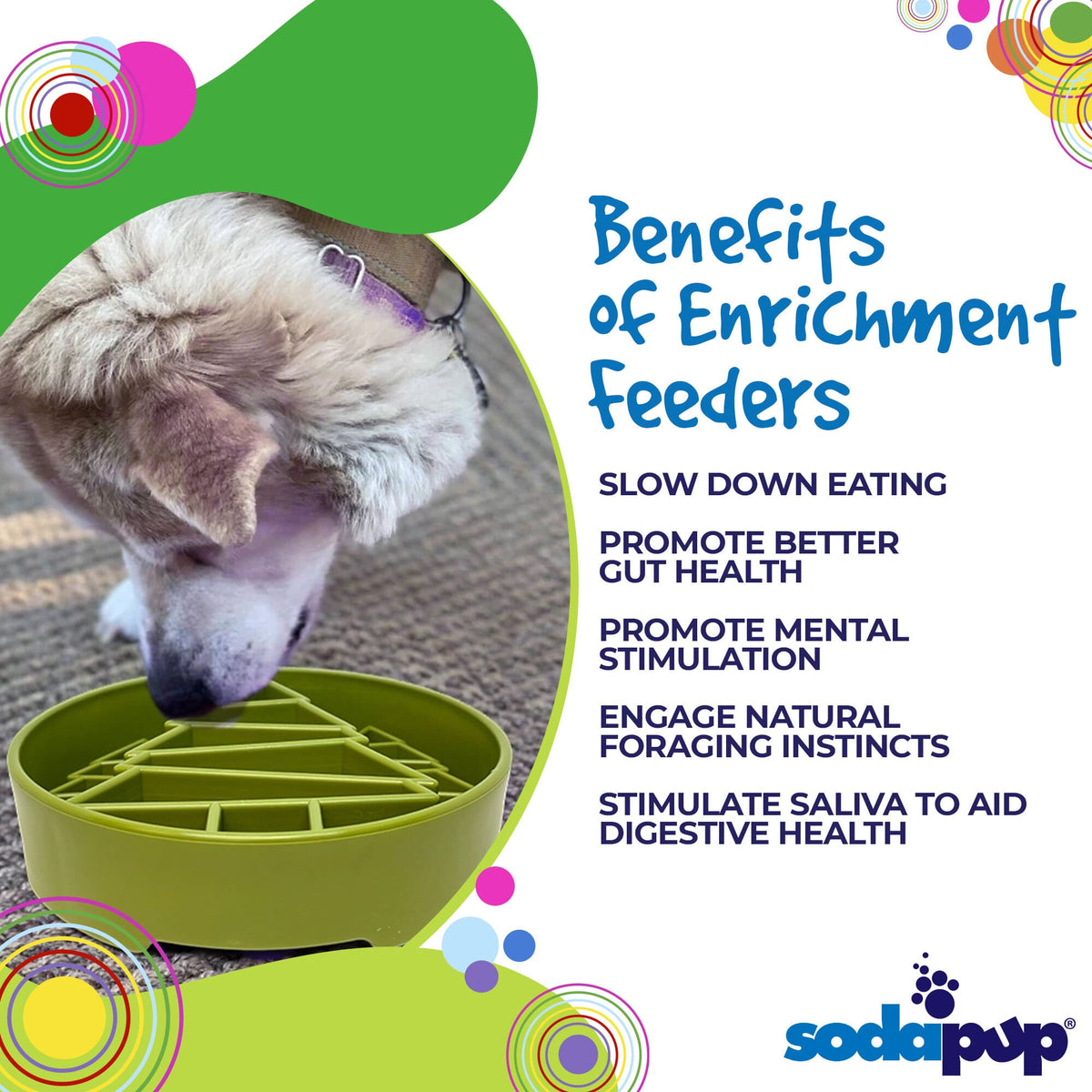 Benefits graphic for the SodaPup Pine Tree eBowl, a slow feeder for fast-eating dogs