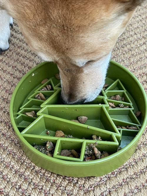 Christmas pine tree slow feeder by SodaPup in green for frozen broth or wet food treats