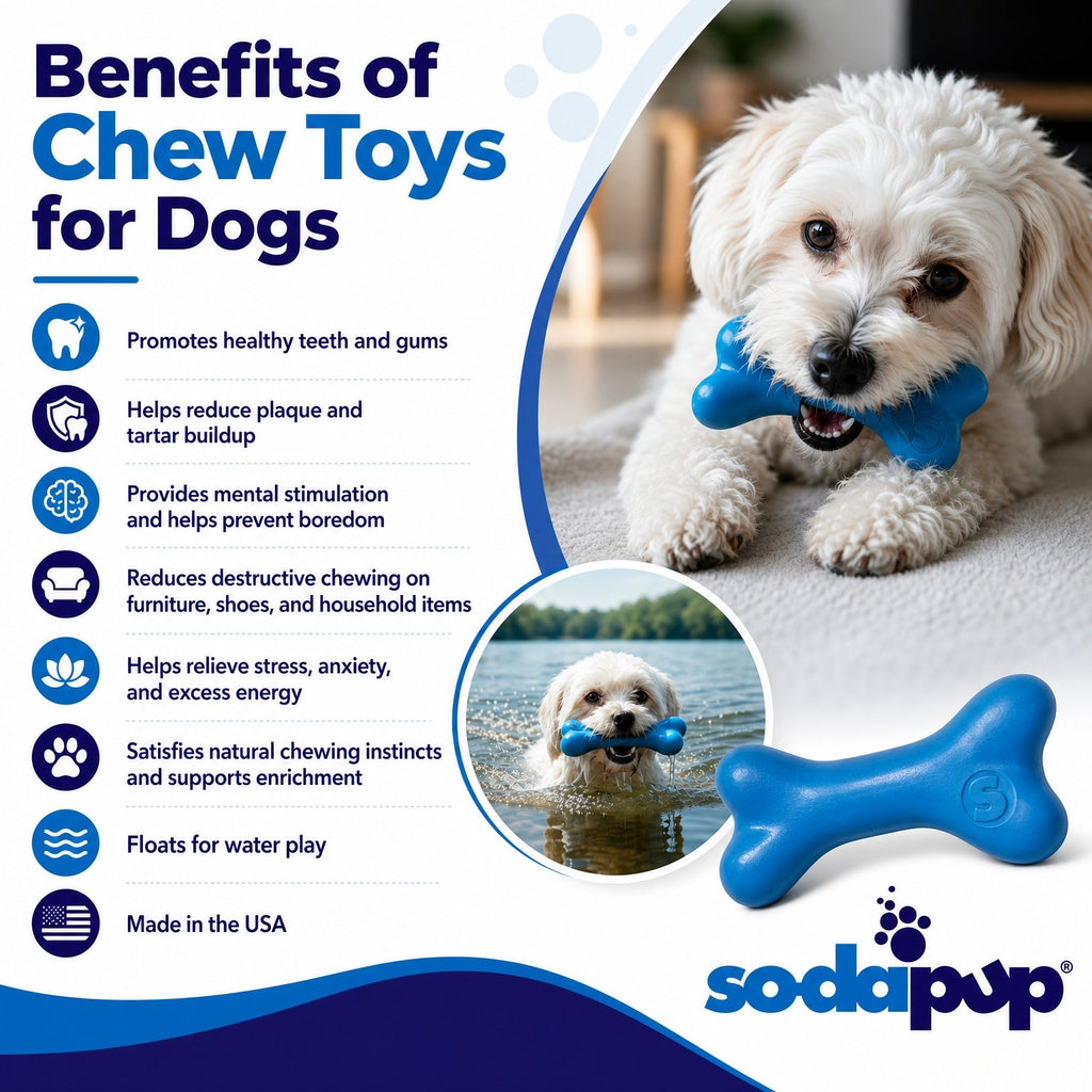 Blue Medium SodaPup PUP-X Rubber Bone, 5 inches long, a floating fetch and chew toy