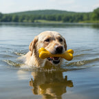 SodaPup PUP-X Rubber Bone fetch toy for light to moderate chewers, not power chewers