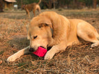 SodaPup Retro Van rubber treat toy, top-rack dishwasher safe, for supervised chewing