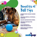 Light blue squeaky fetch ball by SodaPup with a squeaker that keeps working when the ball is wet
