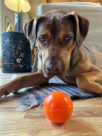 SodaPup Squeak Ball, a USA-made rubber fetch ball with a protected squeaker for squeaker-loving dogs