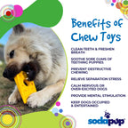 Benefits graphic for the yellow SodaPup Swiss Cheese Wedge nylon chew for aggressive chewers