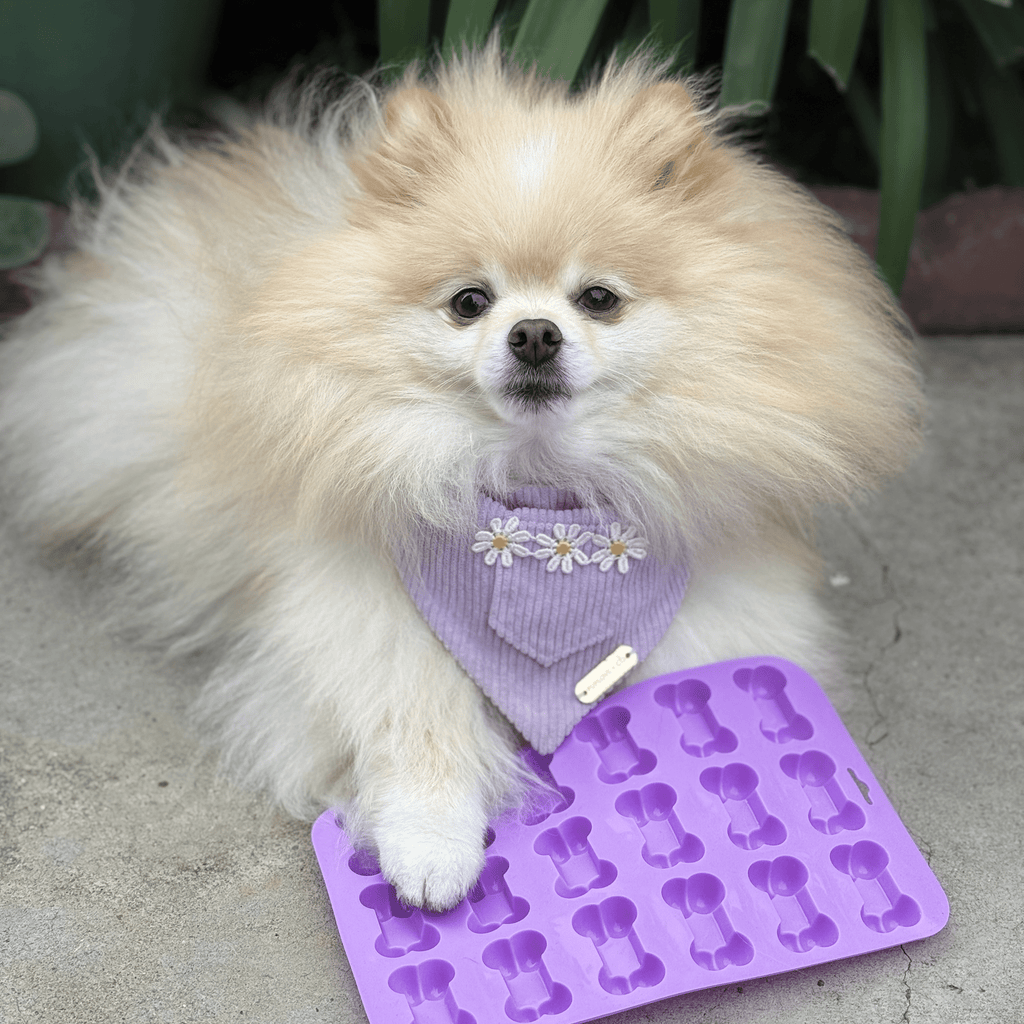 Dishwasher-safe SodaPup treat mold from Farm to Pet, wash on the top rack or by hand