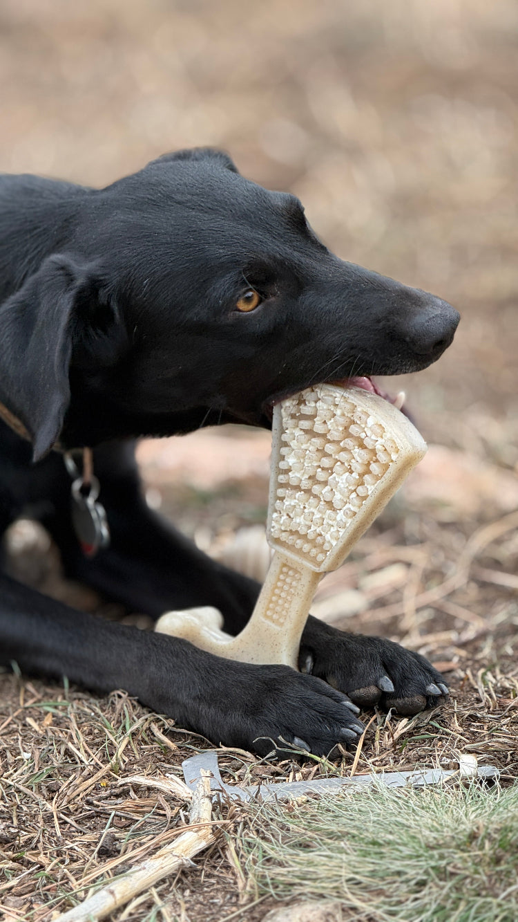 SodaPup Waffle Tower eChew, a dishwasher-safe nylon dog chew with a waffle tower shape