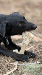 SodaPup Waffle Tower eChew, a dishwasher-safe nylon dog chew with a waffle tower shape