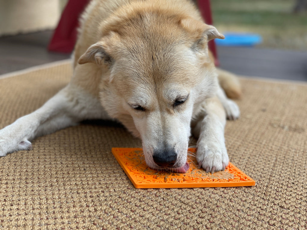 SodaPup Zombie eMat Halloween skull lick mat for dogs and cats, BPA-free and made in the USA