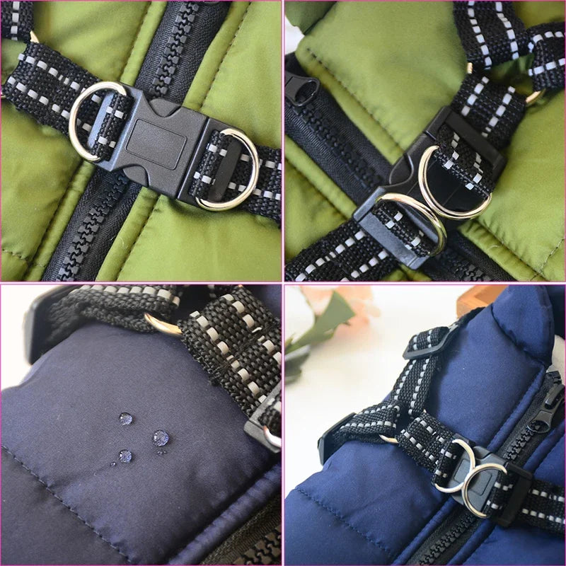 Winter dog jacket with harness for big dogs such as Labradors, in sizes up to 4XL