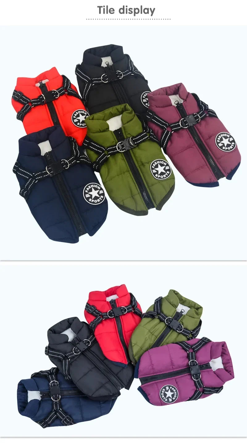 Warm autumn and winter dog jacket with a harness, made for cold-weather walks