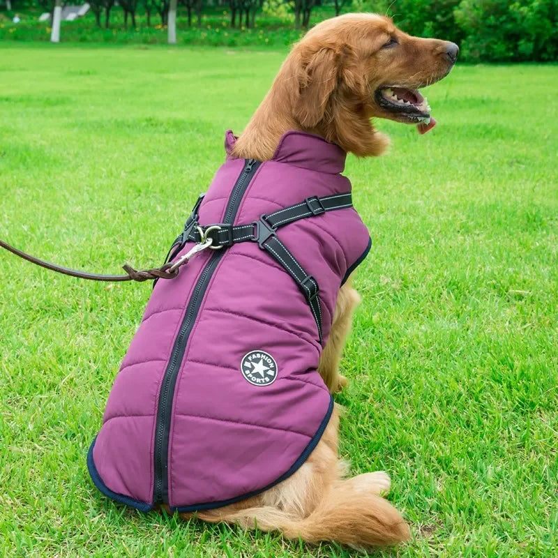 Warm splash-proof dog jacket with a harness for everyday autumn and winter wear