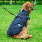 Winter dog coat with a harness for French Bulldogs and other small to medium dogs
