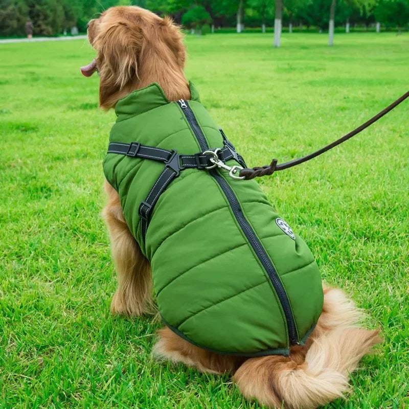 Harness dog jacket for cold weather, a warm splash-proof layer for medium and large dogs