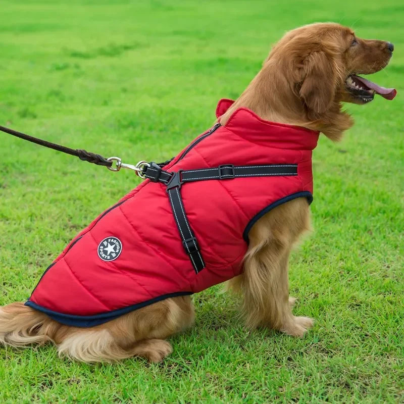 Dog winter jacket with a harness for autumn walks, in a solid color with no print