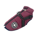 Purple winter dog coat with a harness, splash-proof and sized from S to 4XL