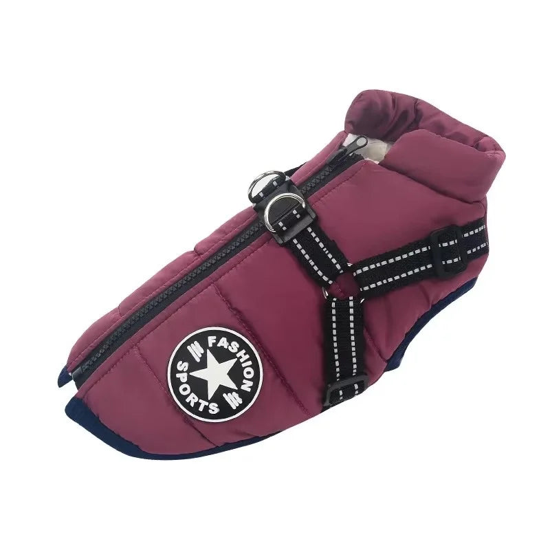 Purple winter dog coat with a harness, splash-proof and sized from S to 4XL
