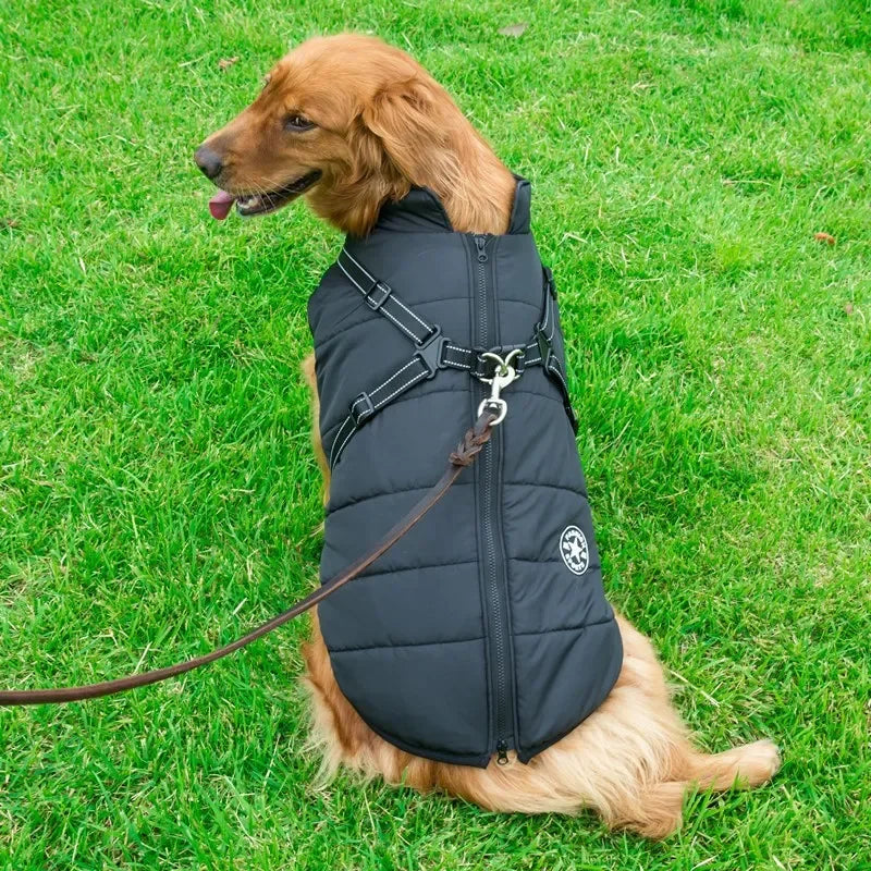 Splash-proof winter jacket with harness for dogs, available from size S to size 4XL