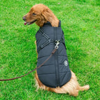 Splash-proof winter jacket with harness for dogs, available from size S to size 4XL