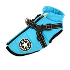 Small dog winter jacket with a harness, from size S, for breeds like Chihuahuas