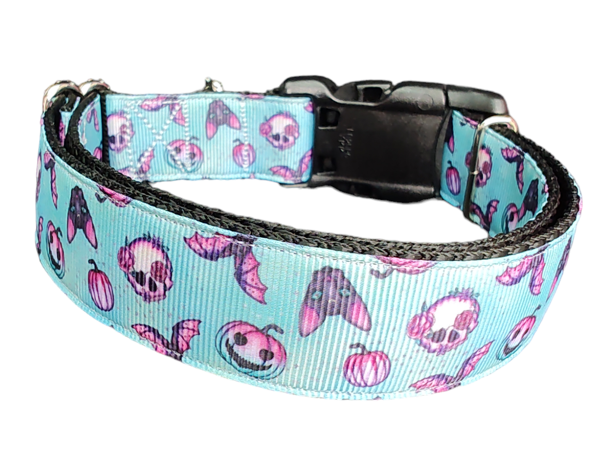 Blue Spooky Season Halloween dog collar by Doot's Pet, printed with bats, black cats, pumpkins and skulls