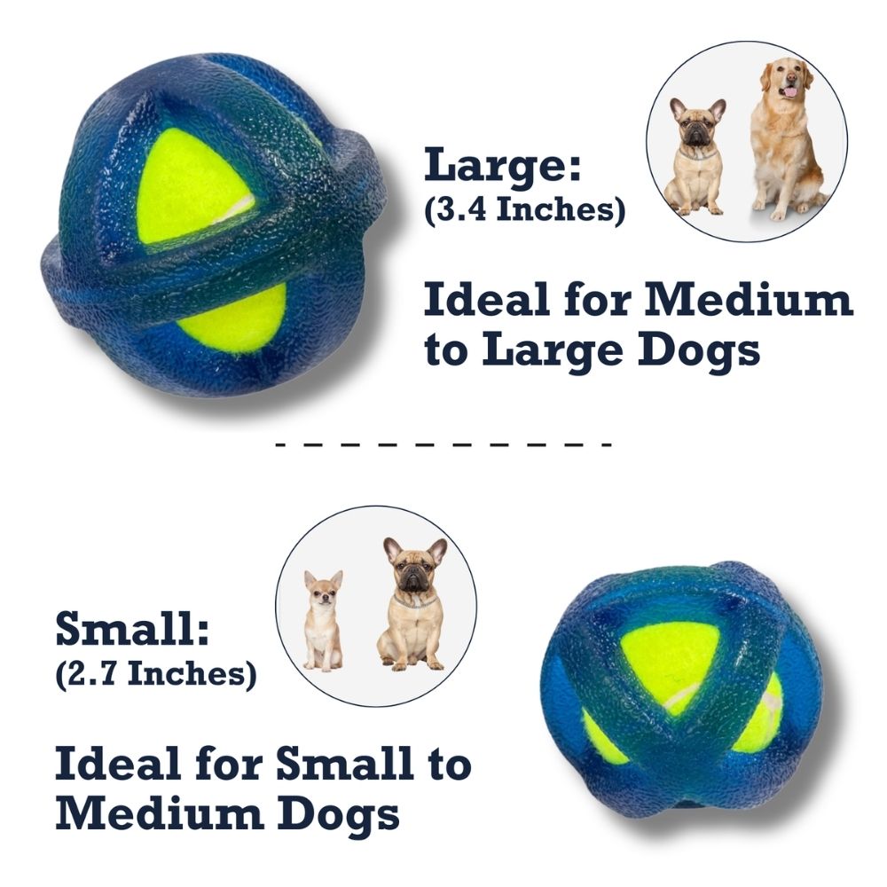 Interactive TPR-coated agility tennis ball for dogs, sold as one ball per pack