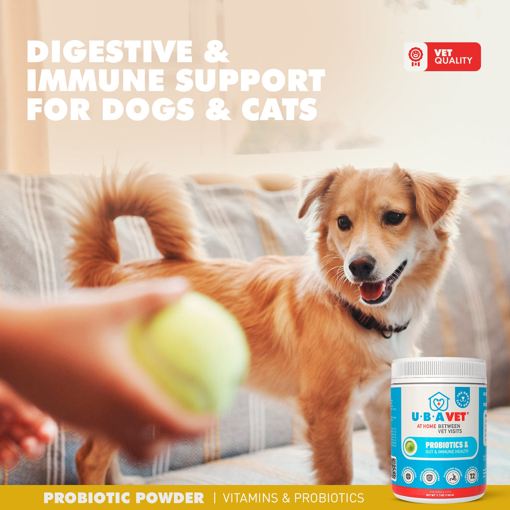 UBAVET probiotics supplement for pets of all ages, free from artificial colors