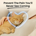 Cat taurine powder for daily dietary support