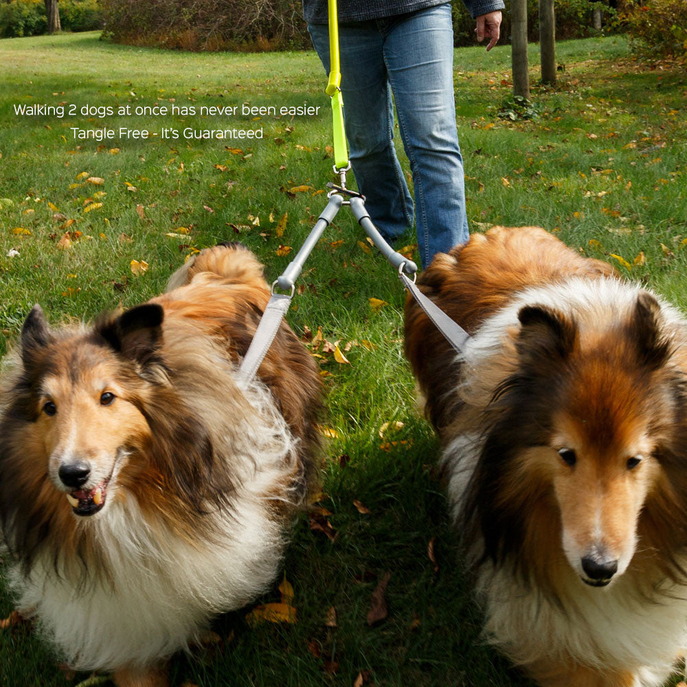 CRAZYcoupl'r two-dog coupler from WACKYstore, made of shock-absorbing natural rubber
