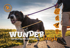4x6 postcard image for the WACKYstore WUNDERleash, a 4 ft leash that stretches to 7 ft
