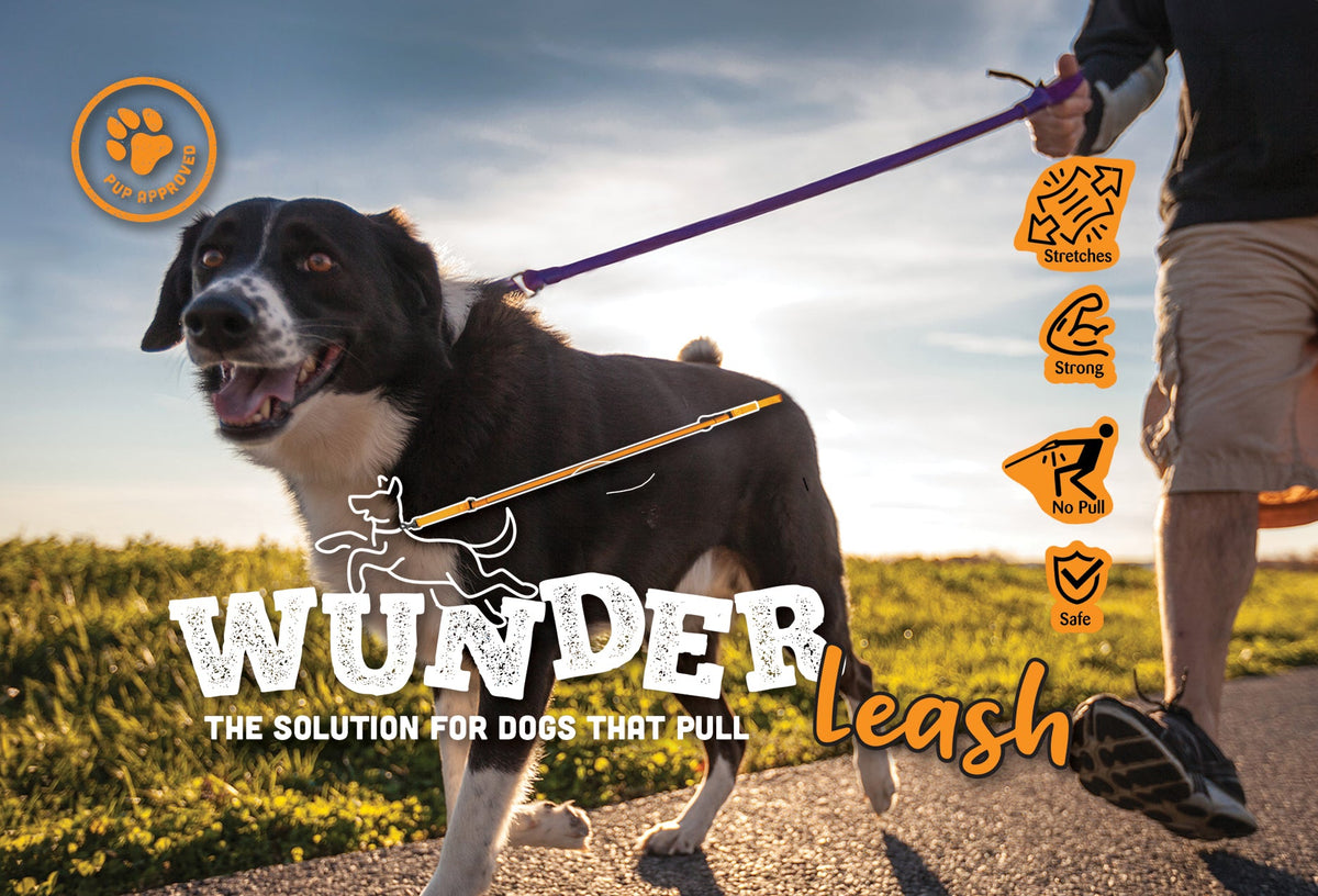 4x6 postcard image for the WACKYstore WUNDERleash, a 4 ft leash that stretches to 7 ft