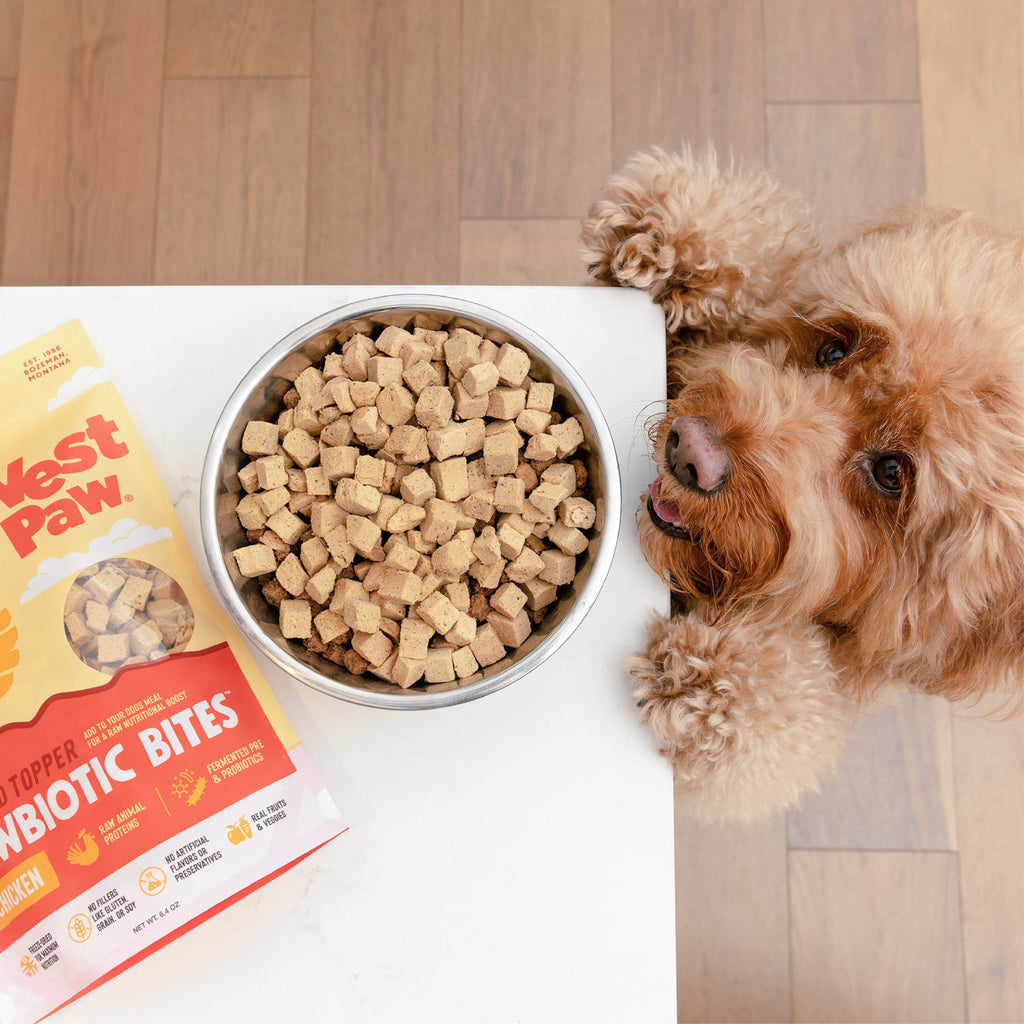 West Paw Chicken Rawbiotic Bites that can replace up to 50% of a dog's meal