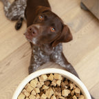 West Paw Chicken Rawbiotic Bites, USA made with USA sourced ingredients and no fillers