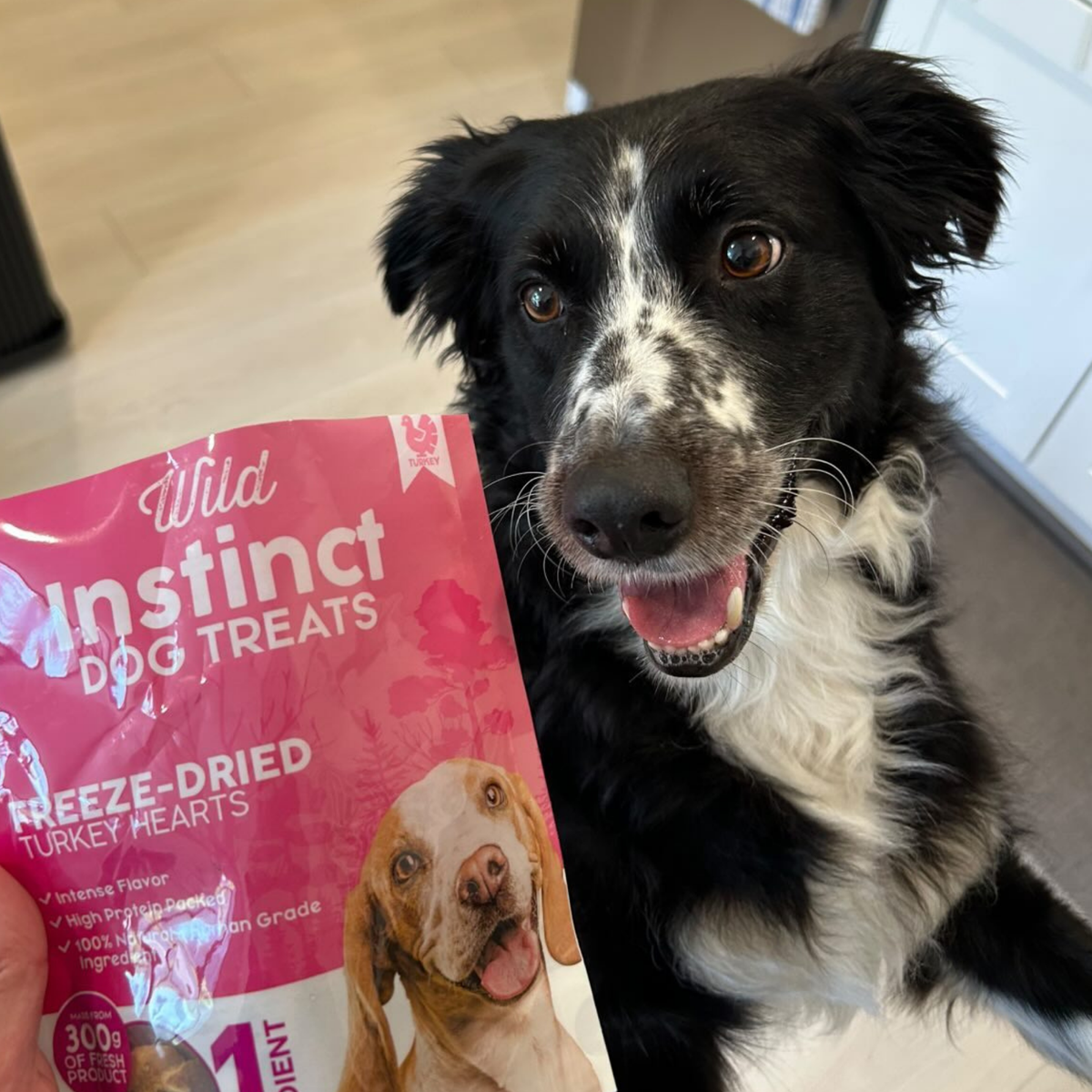 Wild Instinct Pet turkey heart dog treats, made from 300 g of fresh turkey heart per bag