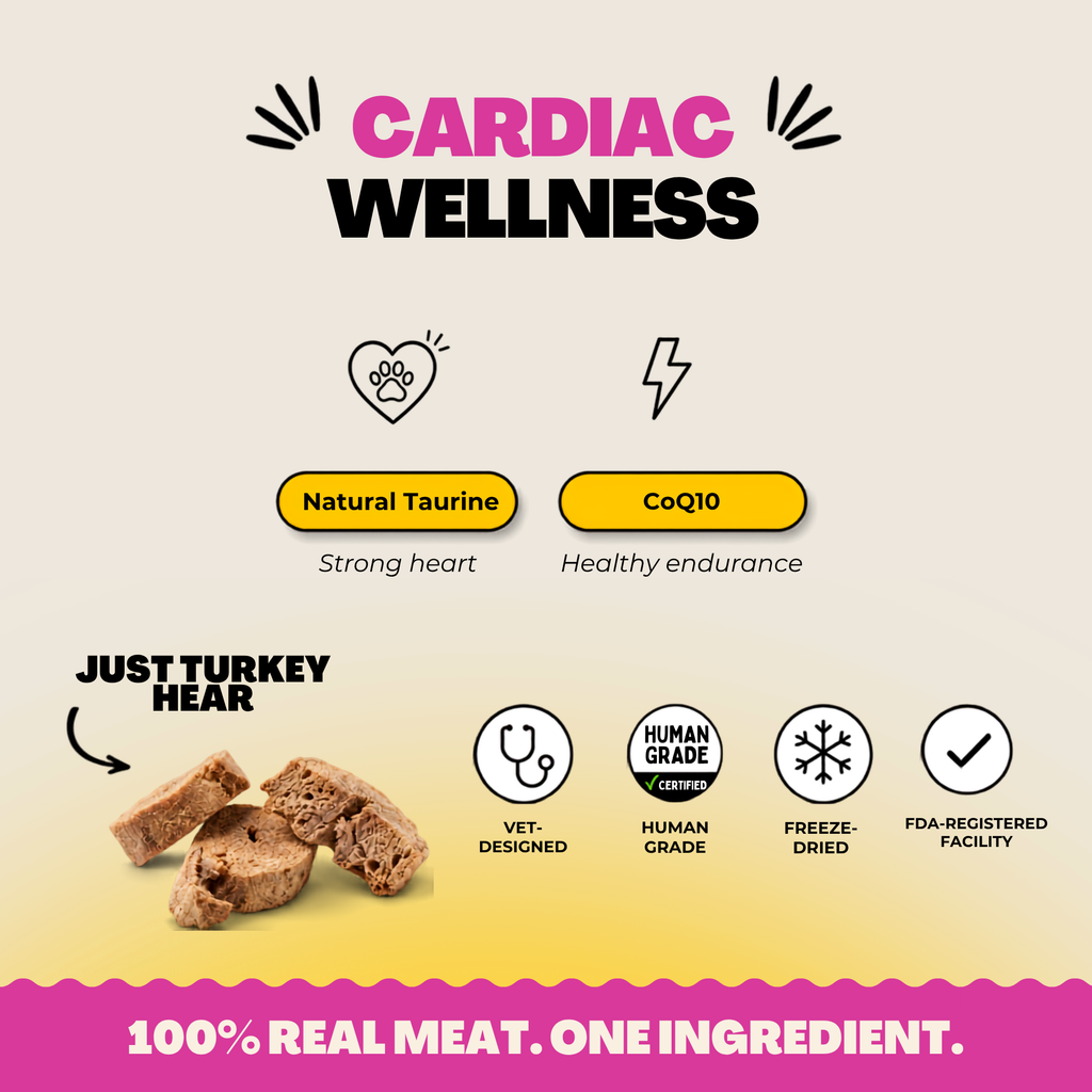 Wild Instinct Pet turkey hearts for dogs, served whole, broken for training or as a topper