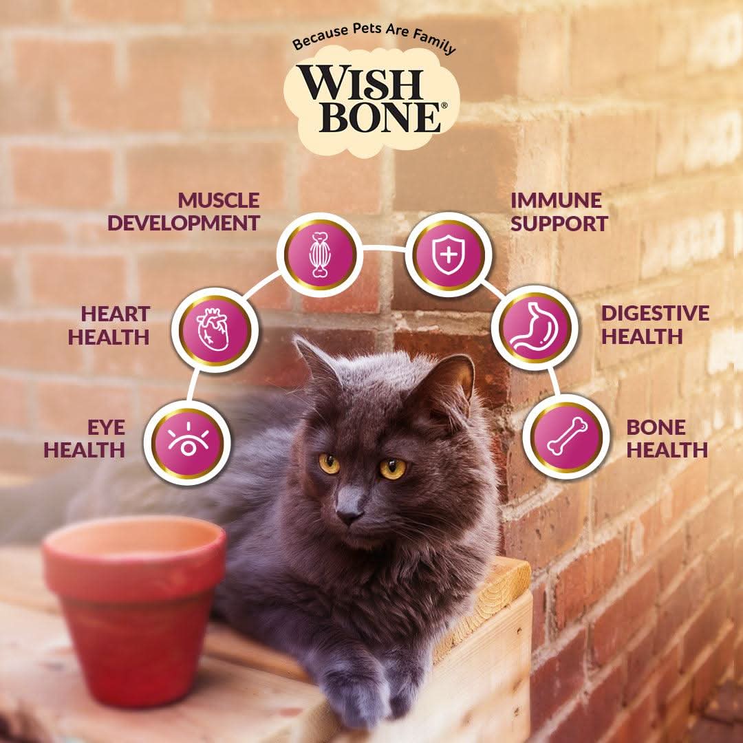 Grain-free and gluten-free Wishbone Graze beef and lamb kibble for cats
